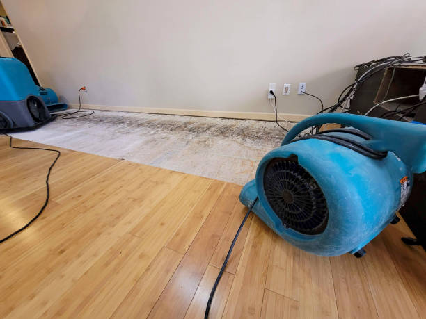 Professional Burst Pipe Water Damage technician working in Grayson, KY
